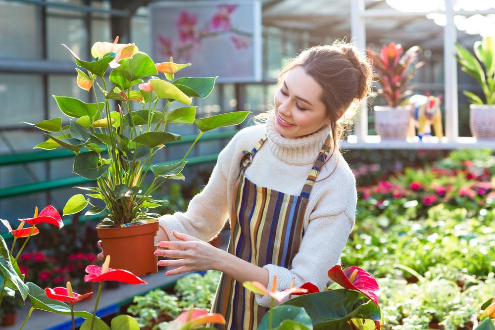 Beneficios de la Primavera